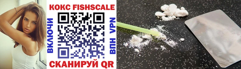 COCAIN Fish Scale  Купить закладки  Ирбит 