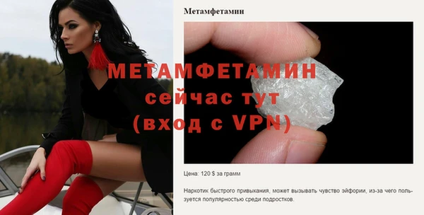 прущие грибы Инсар