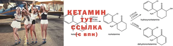прущие грибы Инсар