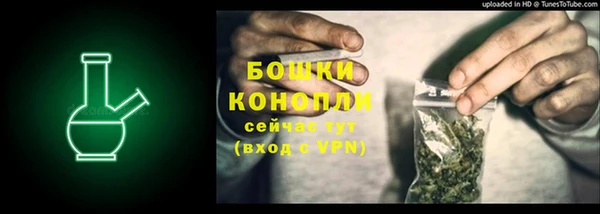 прущие грибы Инсар