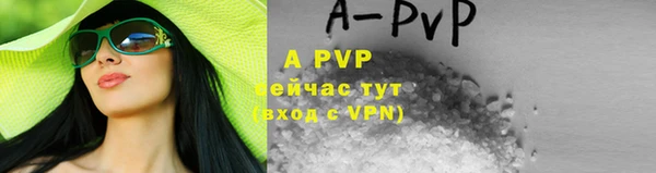 прущие грибы Инсар