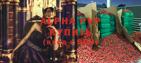 прущие грибы Инсар