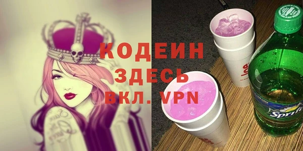 прущие грибы Инсар