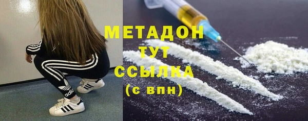 прущие грибы Инсар