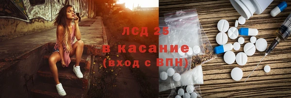 прущие грибы Инсар