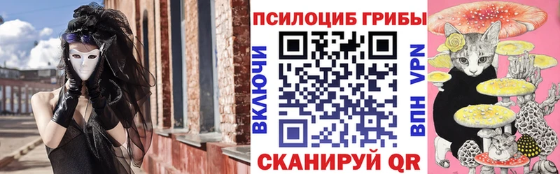 Купить где  Ирбит  Галлюциногенные грибы GOLDEN TEACHER 