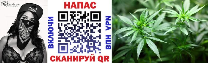 Каннабис OG Kush  Купить где  Ирбит 